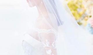 谢娜张杰婚纱照片